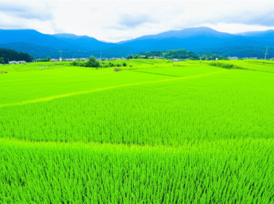 農業・林業